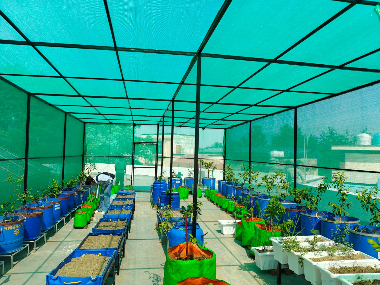 'SKUAST-Jammu Develops Nutritional Rooftop Garden to Promote Urban Horticulture & Youth Entrepreneurship'